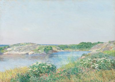Nullam eget molestie urna